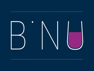Logo Concorso Binu