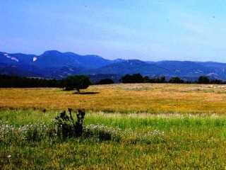 Suolo agricolo Sardegna