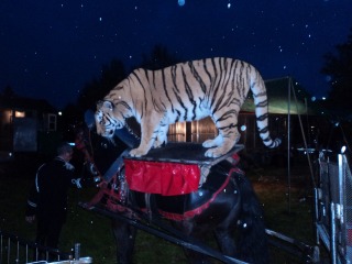 Tigre circo