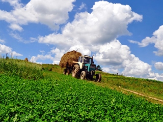 Sardegna 2014 Agricoltura e allevamento